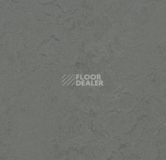 Кварцвиниловые полы Forbo Marmoleum Modular t3745 Cornish grey фото 1 | FLOORDEALER